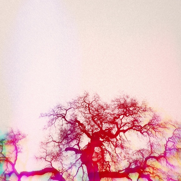 Meet your Posher, L - Picture 1 of 1